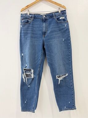 Abercrombie & Fitch The Mom High Rise Jeans 16 Distressed 33